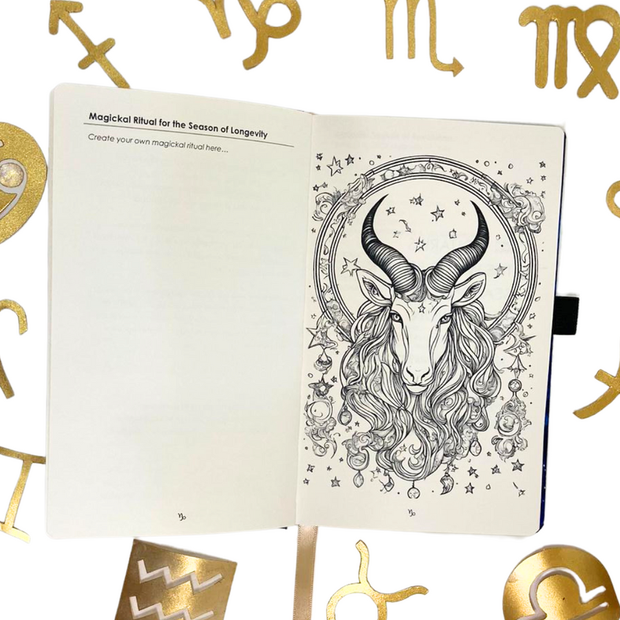 Astro Zen Journal 2024: Capricorn the Sea Goat