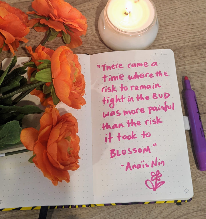 Quote by Anais Nin 