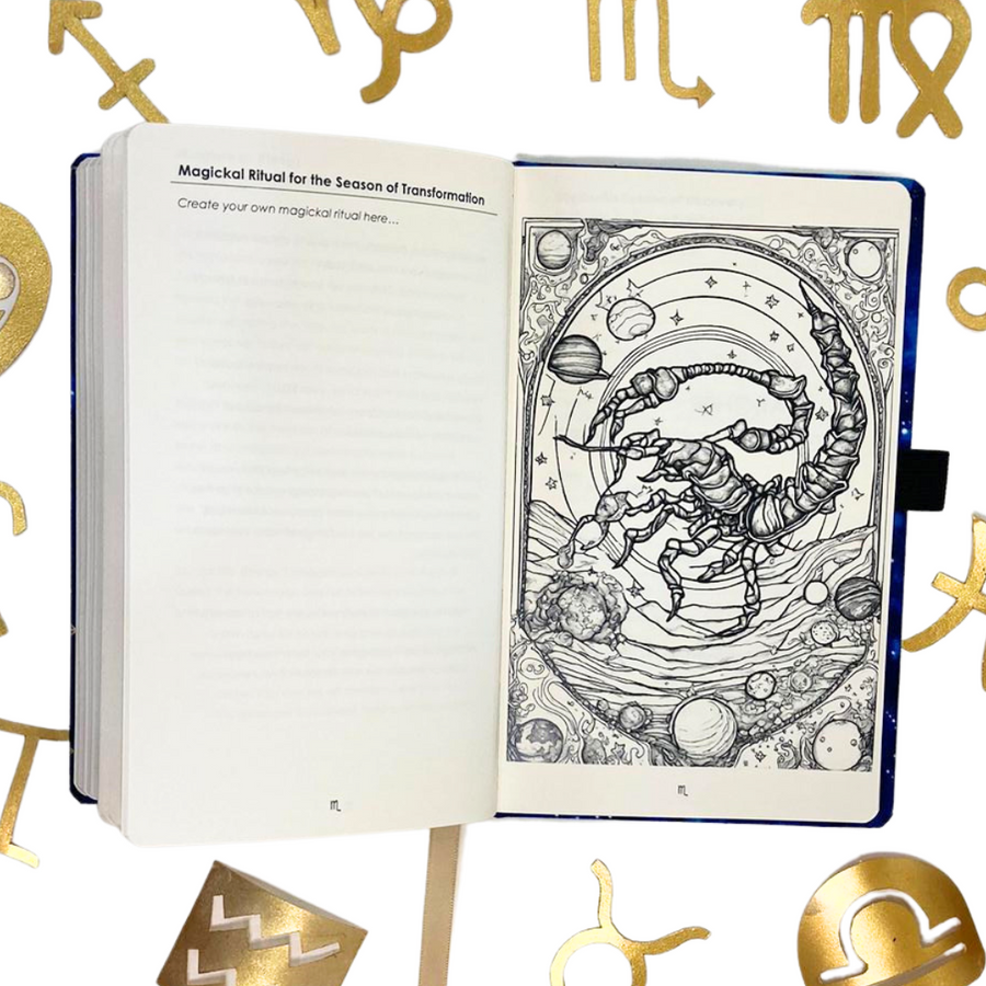 Astro Zen Journal 2024: Scorpio the Scorpion