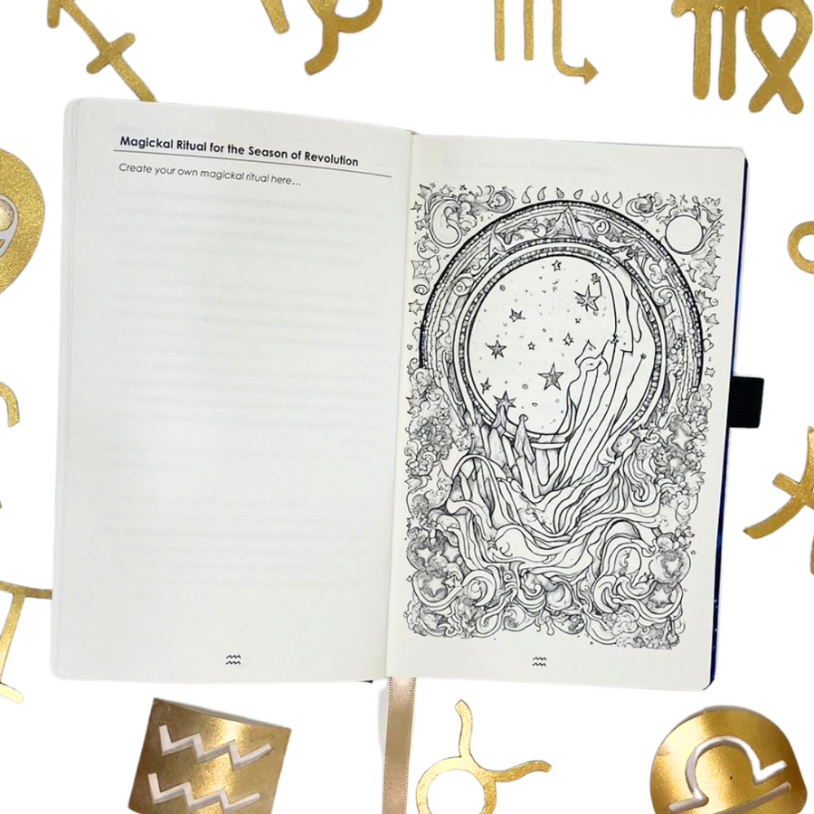 Astro Zen Journal 2024: Aquarius the Water Bearer
